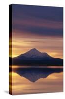 Mt. Shasta at Sunrise-DLILLC-Stretched Canvas