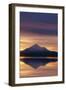 Mt. Shasta at Sunrise-DLILLC-Framed Photographic Print