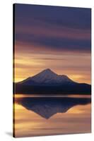 Mt. Shasta at Sunrise-DLILLC-Stretched Canvas