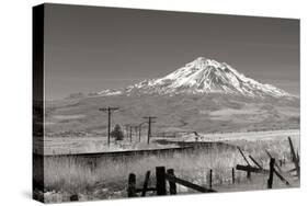 Mt. Shasta II-George Johnson-Stretched Canvas