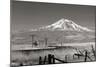 Mt. Shasta II-George Johnson-Mounted Photographic Print