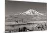 Mt. Shasta II-George Johnson-Mounted Photographic Print