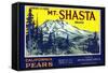 Mt. Shasta Pear Label-null-Framed Stretched Canvas