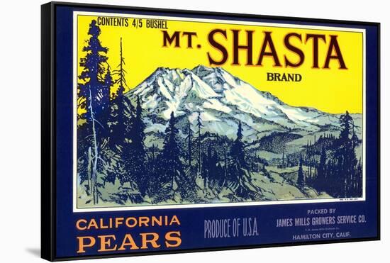 Mt. Shasta Pear Label-null-Framed Stretched Canvas