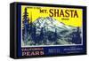 Mt. Shasta Pear Label-null-Framed Stretched Canvas