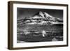 Mt. Shasta View from City - Weed, CA-Lantern Press-Framed Art Print