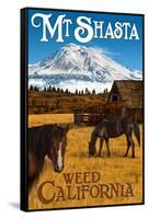 Mt. Shasta - Weed, California - Horses and Mountain-Lantern Press-Framed Stretched Canvas