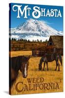 Mt. Shasta - Weed, California - Horses and Mountain-Lantern Press-Stretched Canvas