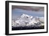 Mt Shasta Winter-Douglas Taylor-Framed Photo