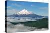 Mt. Shasta-Brian Kidd-Stretched Canvas