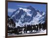 Mt. Shuksan, North Cascades National Park, Washington, USA-Charles Gurche-Framed Photographic Print