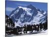 Mt. Shuksan, North Cascades National Park, Washington, USA-Charles Gurche-Stretched Canvas