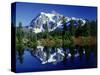 Mt. Shuksan Reflected in Highwood Lake, WA-David Carriere-Stretched Canvas