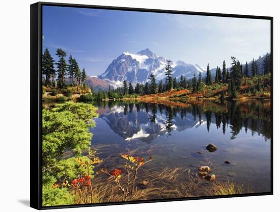 Mt Shuksan with Picture Lake, Mt Baker National Recreation Area, Washington, USA-Stuart Westmorland-Framed Stretched Canvas