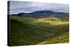 Mt. Snowdon, Wales' Highest Mountain, Is Often Cloaked in Mist-Frances Gallogly-Stretched Canvas