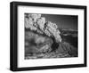 Mt. St. Helens Erupting-Bettmann-Framed Photographic Print