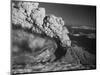 Mt. St. Helens Erupting-Bettmann-Mounted Photographic Print