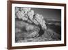 Mt. St. Helens Erupting-Bettmann-Framed Photographic Print