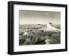 Mt. St. Helens - Mt. Rainier, 1937-null-Framed Premium Giclee Print