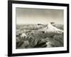 Mt. St. Helens - Mt. Rainier, 1937-null-Framed Giclee Print