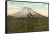 Mt. St. Helens, Washington-null-Framed Stretched Canvas