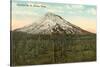 Mt. St. Helens, Washington-null-Stretched Canvas