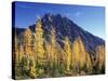 Mt. Stuart with Golden Larch Trees, Alpine Lakes Wilderness, Washington, USA-Jamie & Judy Wild-Stretched Canvas