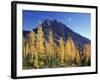 Mt. Stuart with Golden Larch Trees, Alpine Lakes Wilderness, Washington, USA-Jamie & Judy Wild-Framed Photographic Print