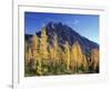 Mt. Stuart with Golden Larch Trees, Alpine Lakes Wilderness, Washington, USA-Jamie & Judy Wild-Framed Photographic Print