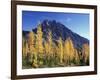 Mt. Stuart with Golden Larch Trees, Alpine Lakes Wilderness, Washington, USA-Jamie & Judy Wild-Framed Photographic Print