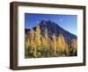 Mt. Stuart with Golden Larch Trees, Alpine Lakes Wilderness, Washington, USA-Jamie & Judy Wild-Framed Photographic Print