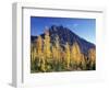 Mt. Stuart with Golden Larch Trees, Alpine Lakes Wilderness, Washington, USA-Jamie & Judy Wild-Framed Photographic Print