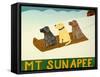 Mt. Sunapee Sled Dogs Template-Stephen Huneck-Framed Stretched Canvas