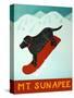 Mt Sunapee Snowboard Black-Stephen Huneck-Stretched Canvas