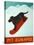 Mt Sunapee Snowboard Black-Stephen Huneck-Stretched Canvas