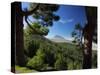 Mt. Teide, Tenerife, Canary Islands, Spain-Alan Copson-Stretched Canvas