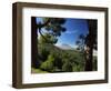 Mt. Teide, Tenerife, Canary Islands, Spain-Alan Copson-Framed Photographic Print