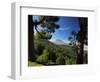 Mt. Teide, Tenerife, Canary Islands, Spain-Alan Copson-Framed Photographic Print