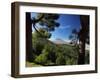 Mt. Teide, Tenerife, Canary Islands, Spain-Alan Copson-Framed Photographic Print