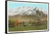 Mt. Timpanogos, Provo, Utah-null-Framed Stretched Canvas