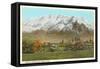 Mt. Timpanogos, Provo, Utah-null-Framed Stretched Canvas