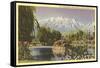 Mt. Timpanogos, Provo, Utah-null-Framed Stretched Canvas