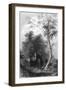 Mt Vernon - the Tomb-WH Bartlett-Framed Art Print