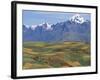 Mt Veronica Above the Sacred Valley, Nr. Cusco, Peru-Peter Adams-Framed Photographic Print