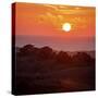 Mt Vision Sunset-Lance Kuehne-Stretched Canvas