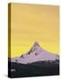 Mt. Washington at sunset, Deschutes National Forest, Oregon, USA-Charles Gurche-Stretched Canvas
