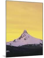 Mt. Washington at sunset, Deschutes National Forest, Oregon, USA-Charles Gurche-Mounted Premium Photographic Print