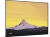 Mt. Washington at sunset, Deschutes National Forest, Oregon, USA-Charles Gurche-Mounted Photographic Print