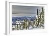 Mt. Washington Ski Resort bordering Strathcona Provincial Park, Vancouver Island, British Columbia,-Stuart Westmorland-Framed Photographic Print