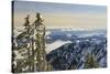 Mt. Washington, Vancouver Island, British Columbia, Canada-Stuart Westmorland-Stretched Canvas